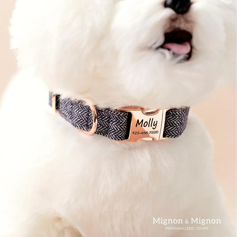 Personalized Engraved Stainless Steel Adjustable Pet Dog Collar