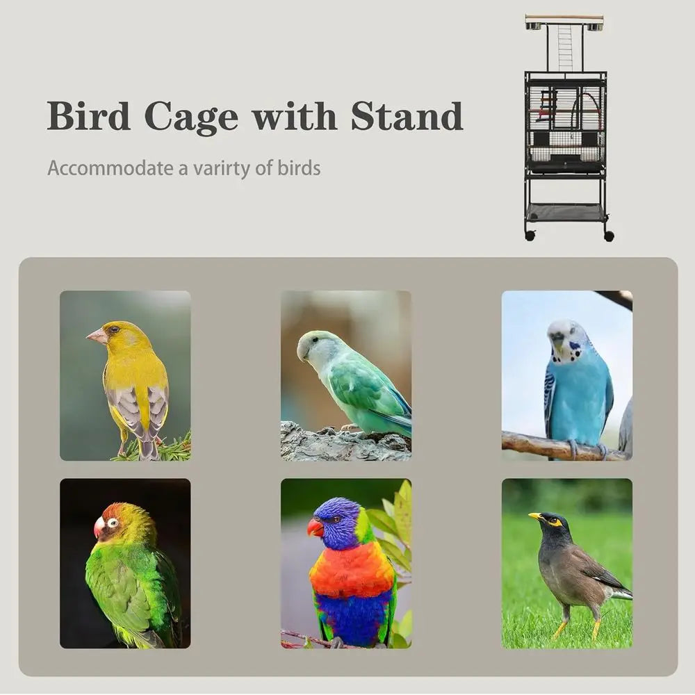 51" Small Bird Cage with Stand,ParaCage, Parrot cage with ParaToys, Bird Cage Accories,Birdcage Covers or Lovebirds Cockatiel Co