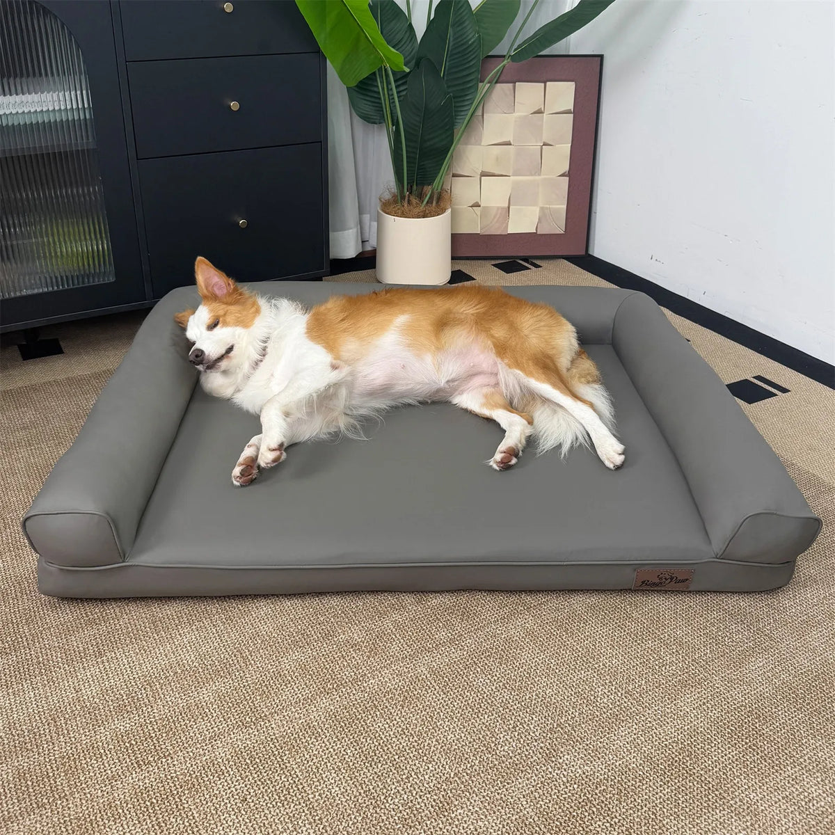 Borwart Orthopedic Dog Bed With Waterproof Removable Cover
