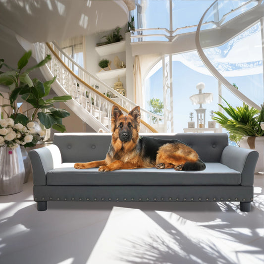 Bingopaw Elevated Rectangular Leather Dog Sofa Bed for Pets