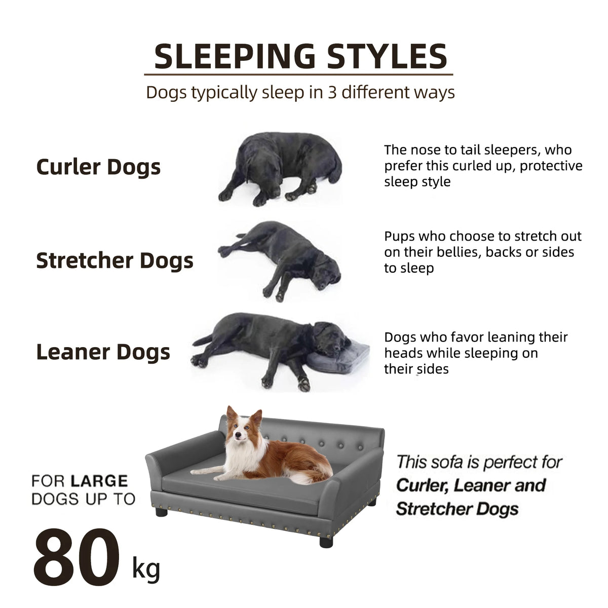 BINGOPAW Elevated Dog Sofa With Microfiber Cover Removable Cushion