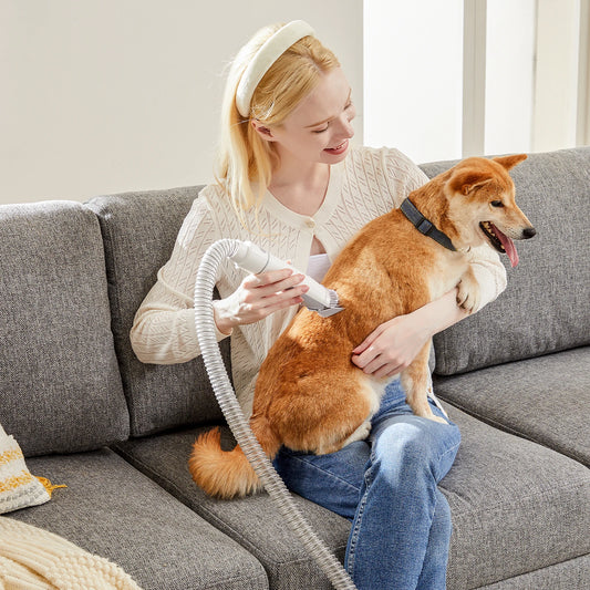 Professional Low Noise Cordless Pet Grooming Vacuum And Clipper Kit