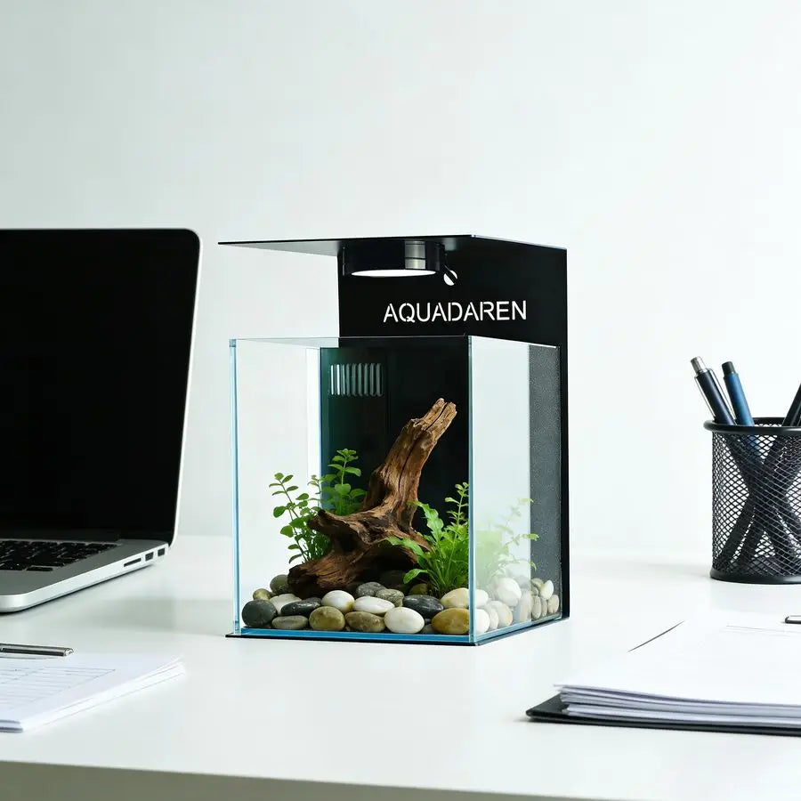 Fish Tank Kit, 2.5 Gallon Betta Fish Aquariums with Filter,Filter Floss,Iron Bracket amp Light,Fish Tanks for Starter, Black7.8L