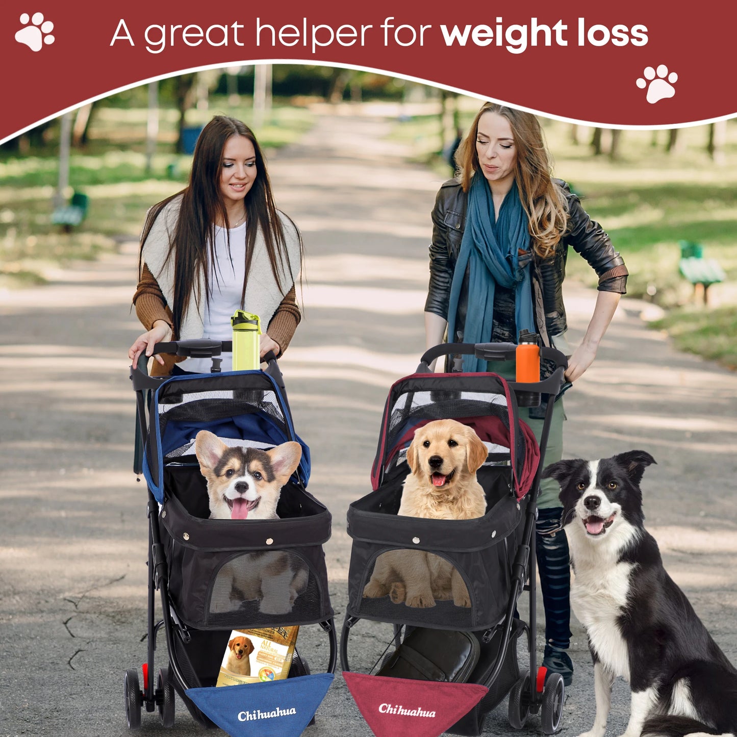 Chihuahua Pet Stroller for Cats and Dogs Foldable 3 Wheels
