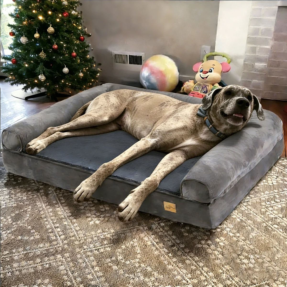 Borwart Orthopedic Memory Foam Dog Bed With Waterproof Removable Cover