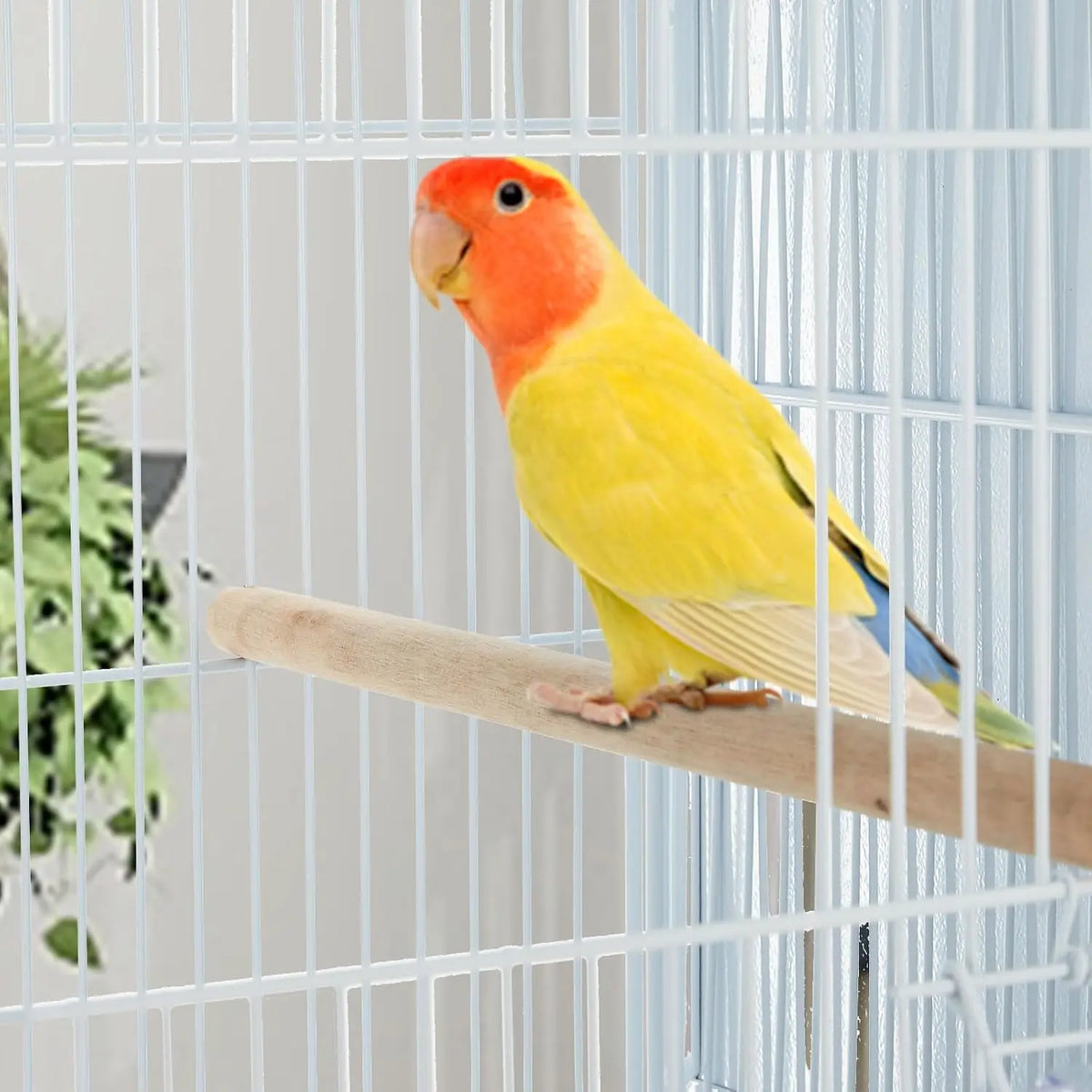 Spacious Stackable Birdcage With Detachable Storage Shelf And Trays