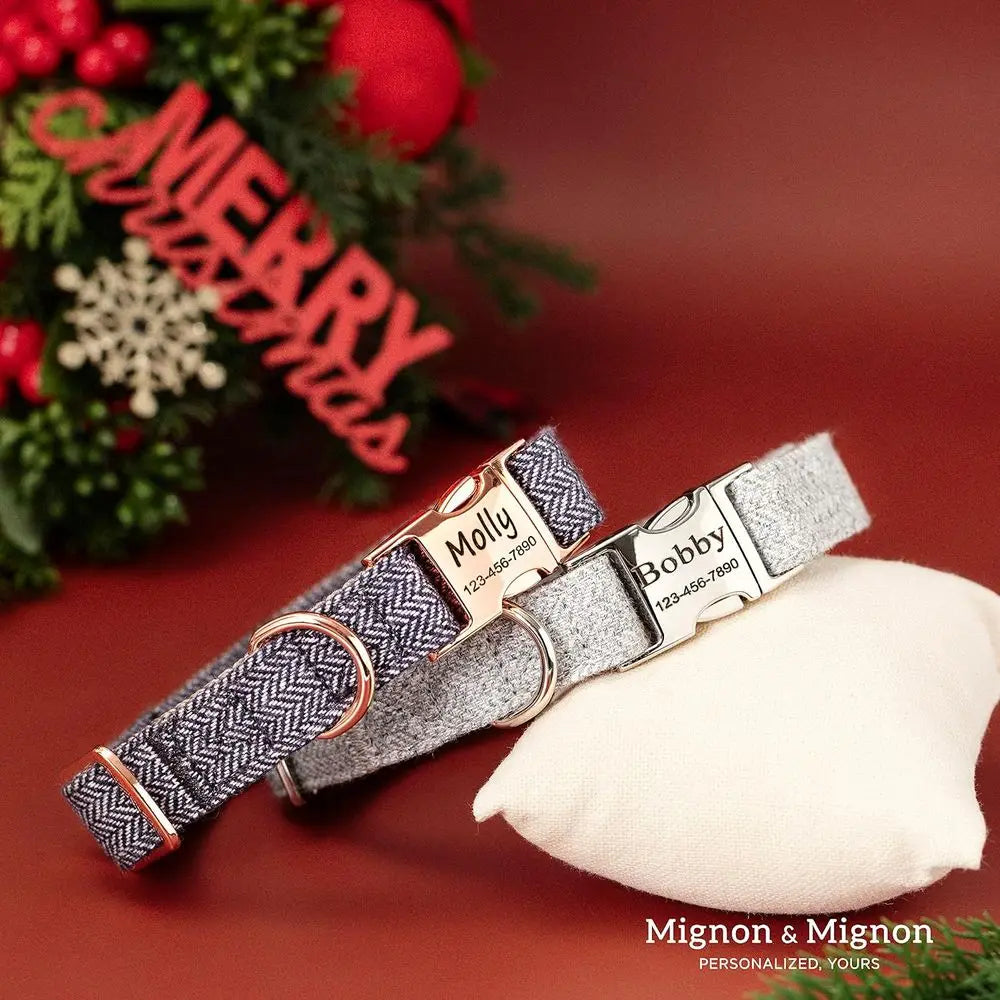 Personalized Engraved Stainless Steel Adjustable Pet Dog Collar