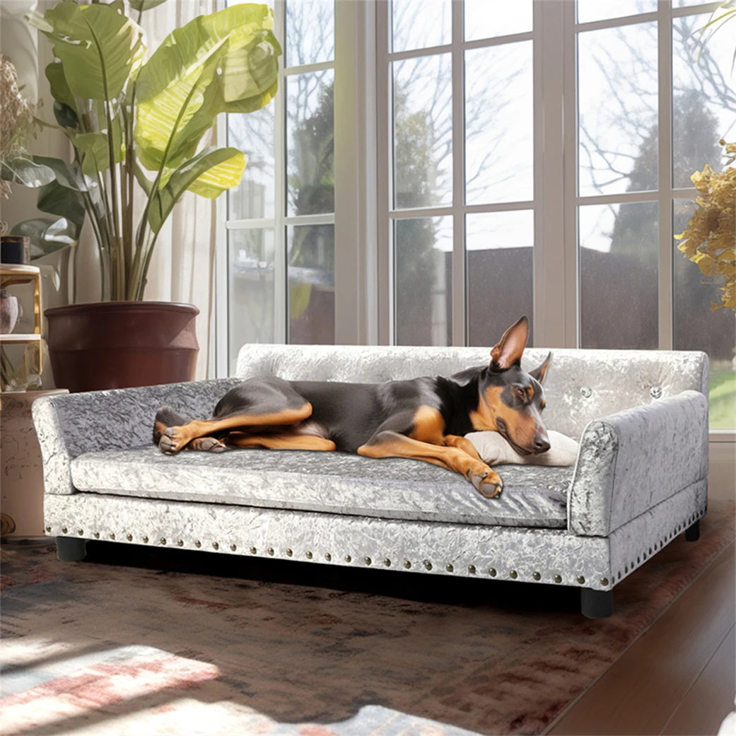 Borwart Heavy Duty Raised Pet Sofa With Comfortable Pad