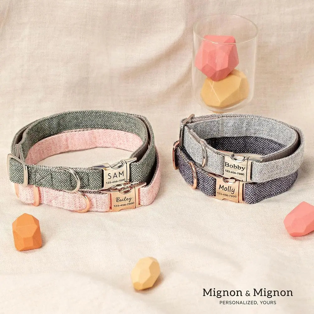 Personalized Engraved Stainless Steel Adjustable Pet Dog Collar