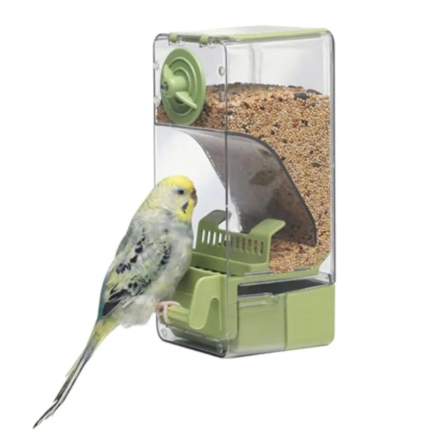 Automatic Bird Feeder With Perch And Anti Spill Protection