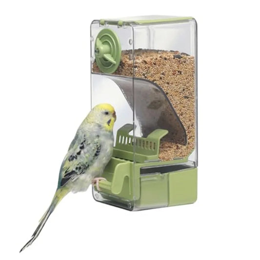 Automatic Bird Feeder With Perch And Anti Spill Protection
