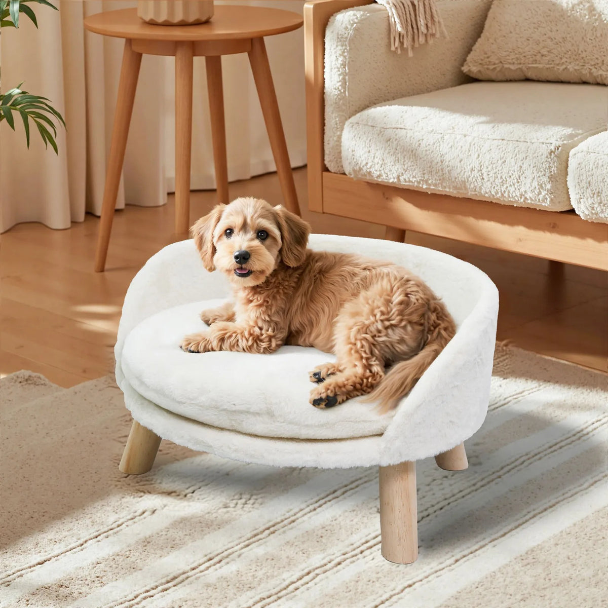 Borwart Elevated Dog Cat Sofa Bed With Removable Waterproof Cushion