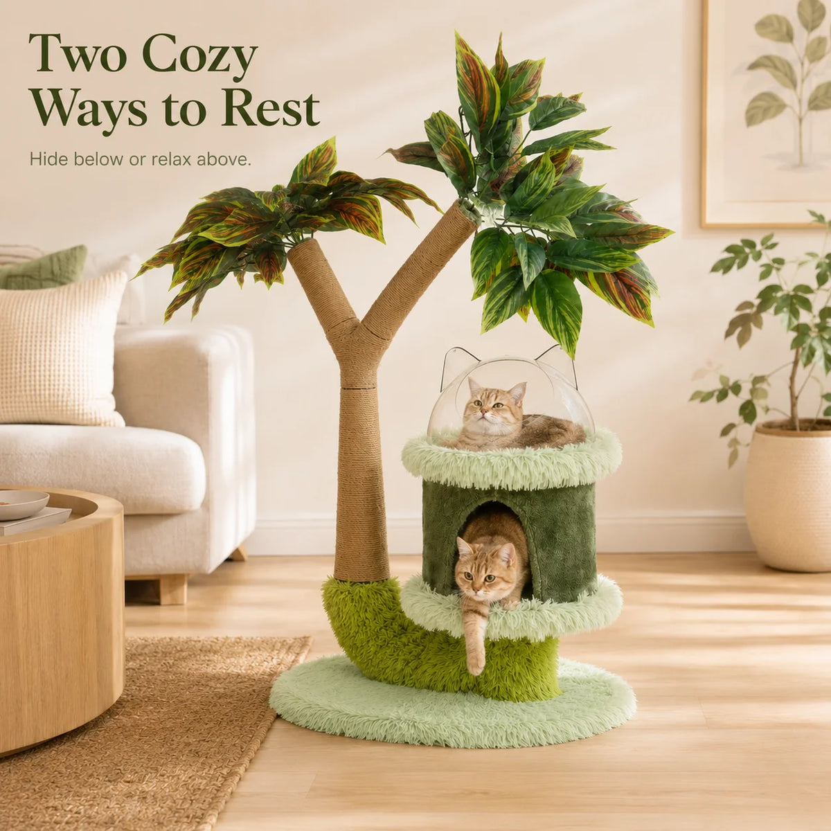 Mango Tree Cat Tree For Small Cats Double Tier Scratching Post Natural Sisal