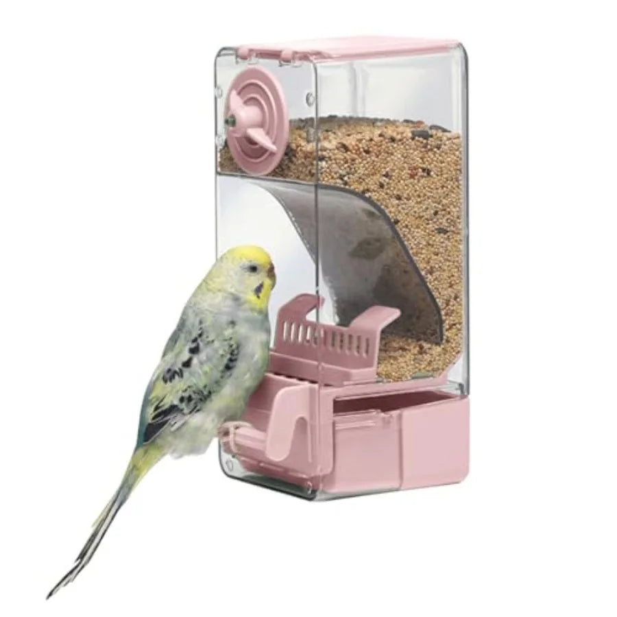Automatic Bird Feeder With Perch And Anti Spill Protection