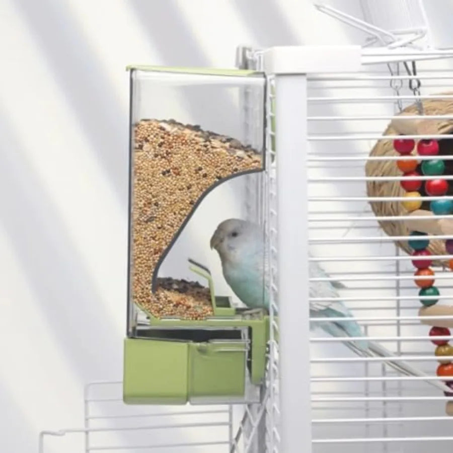 Automatic Bird Feeder With Perch And Anti Spill Protection